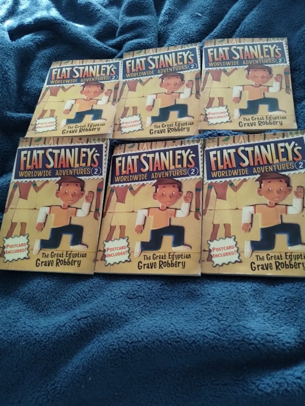 Flat Stanley- Worldwide Adventures,chapter books,lot of 6